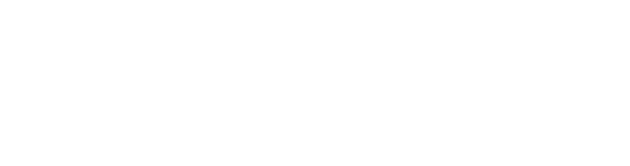 Nixie Social logo
